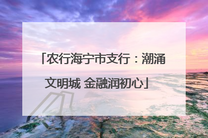 农行海宁市支行：潮涌文明城 金融润初心
